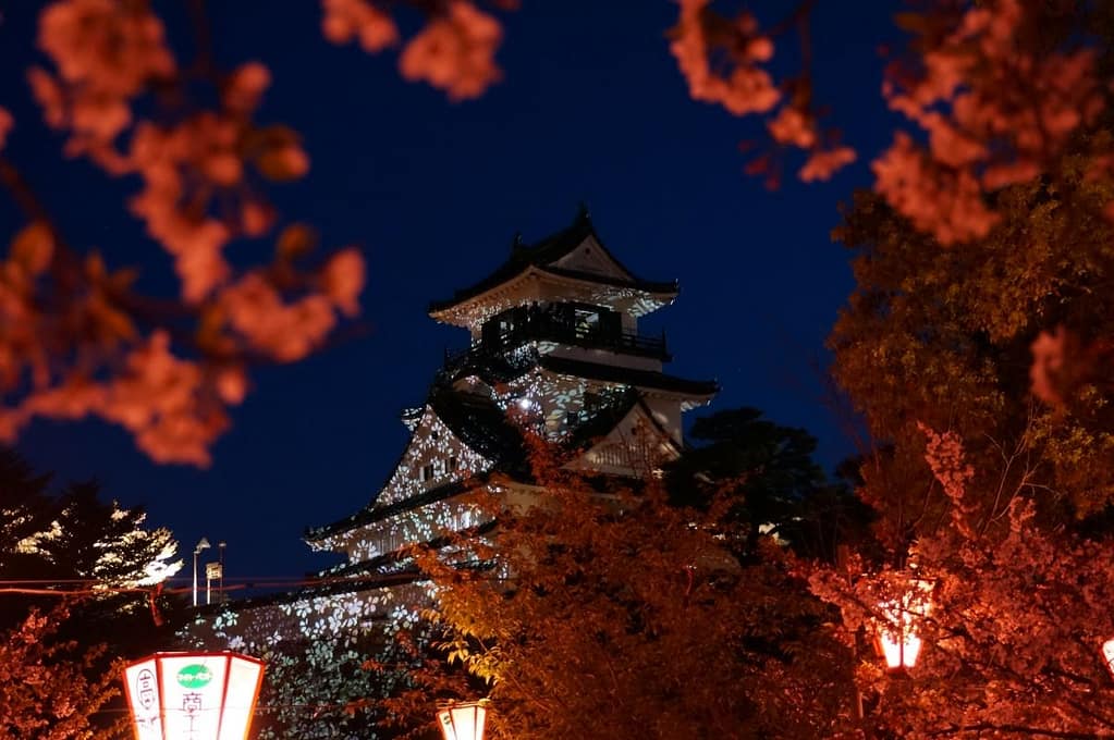 Kochi Castle Illumination