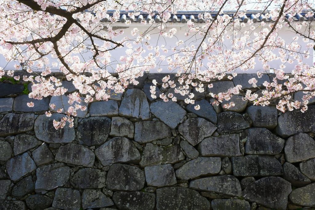 Fukuoka Castle Park