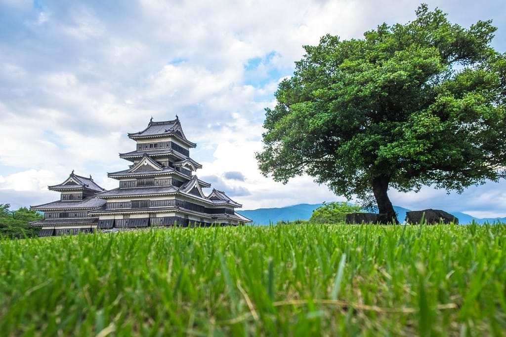 Matsumoto Jo Castle tallest origonal castle