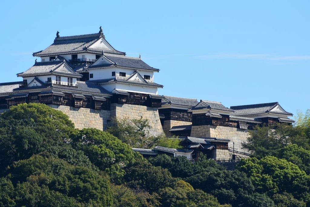 Matsuyama Castle