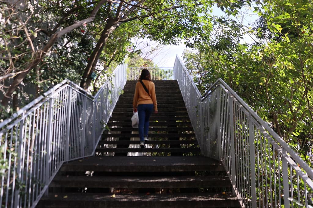 ACROS Fukuoka Step Garden