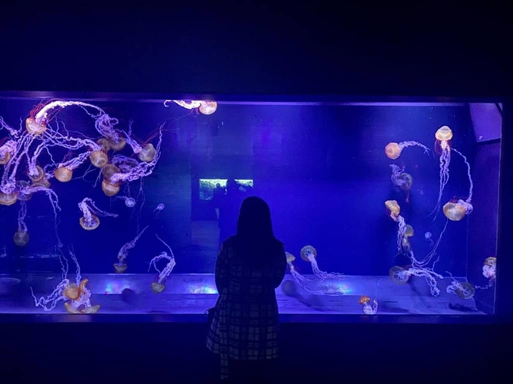 Sumida Aquarium in Tokyo Skytree Town
