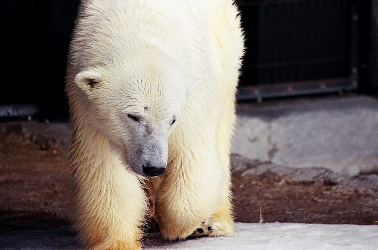 Asahikawa Zoo